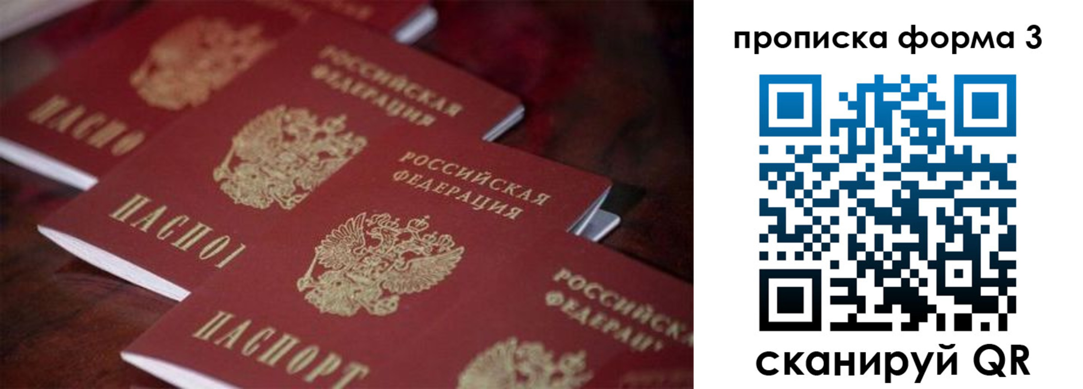 прописка паспорт в Стародубе